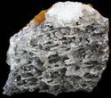 Calcite & Aragonite Stalactite Formation - Morocco #41778-1